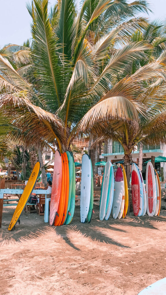 Beginner surf boards on a beach 