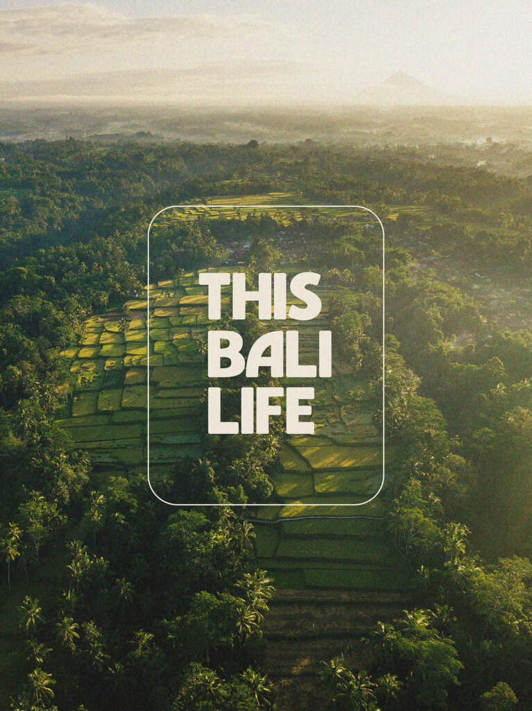 This Bali Life - paddy fields