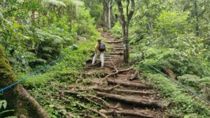 Gunung Tapak - the most accessible climb in Bali